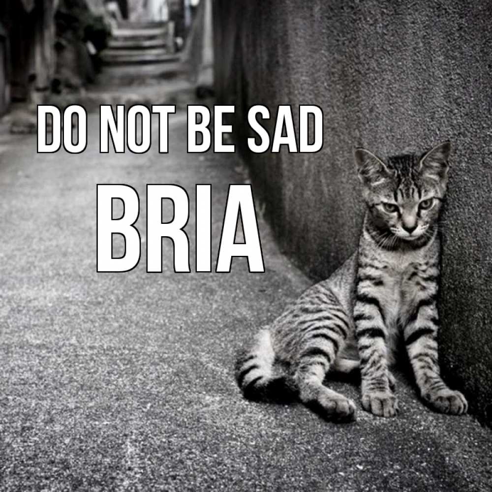 Greetings card с именем, Bria Do not be sad скучающий котик Greetings with text for free download 