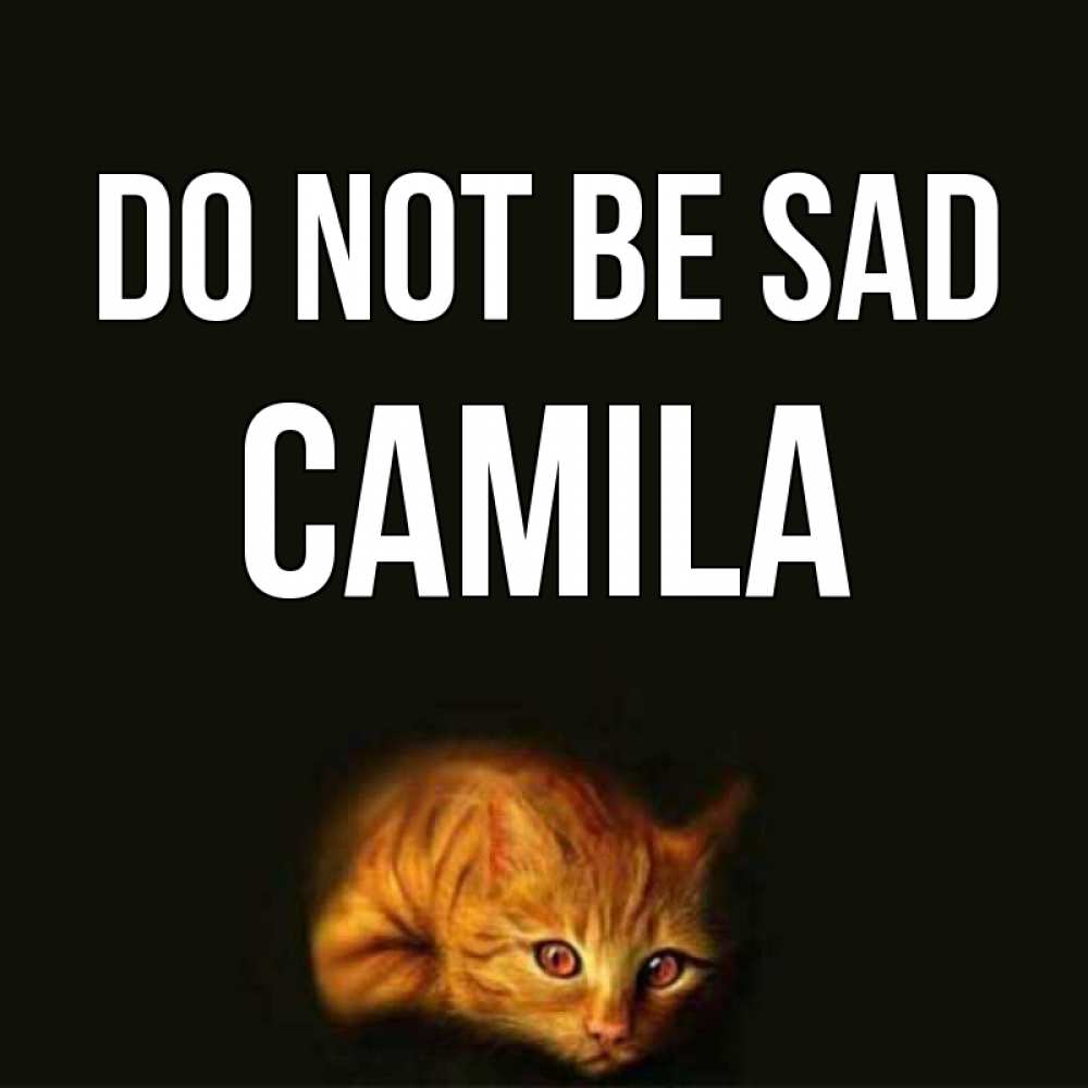 Greetings card с именем, Camila Do not be sad лежащий кот в темноте Greetings with text for free download 