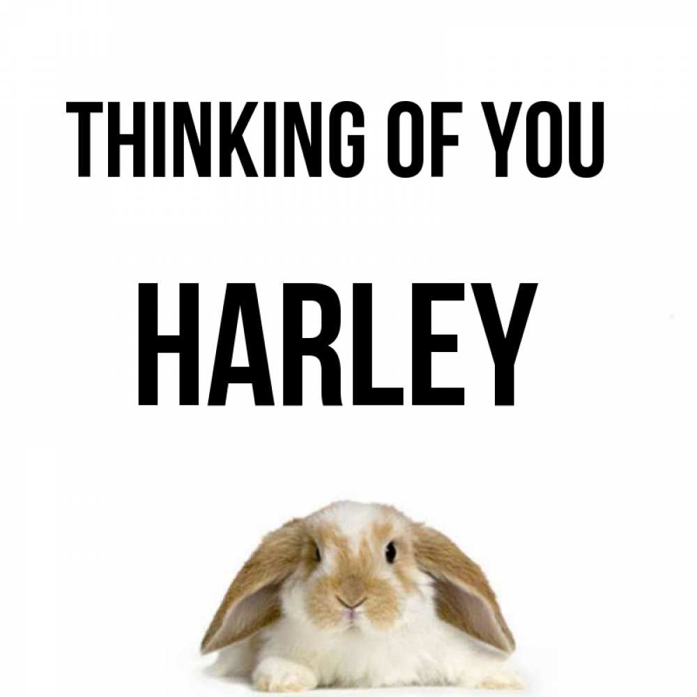 Greetings card с именем, Harley Thinking of you подписать своими руками онлайн Greetings with text for free download 