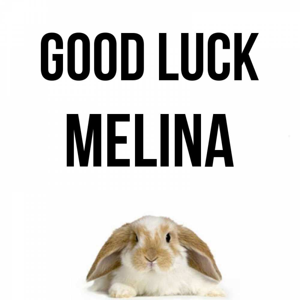 Greetings card с именем, Melina Good luck открытки с произвольным текстом который можно вставить в открытку и создать ее самостоятельно бесплатно онлайн Greetings with text for free download 