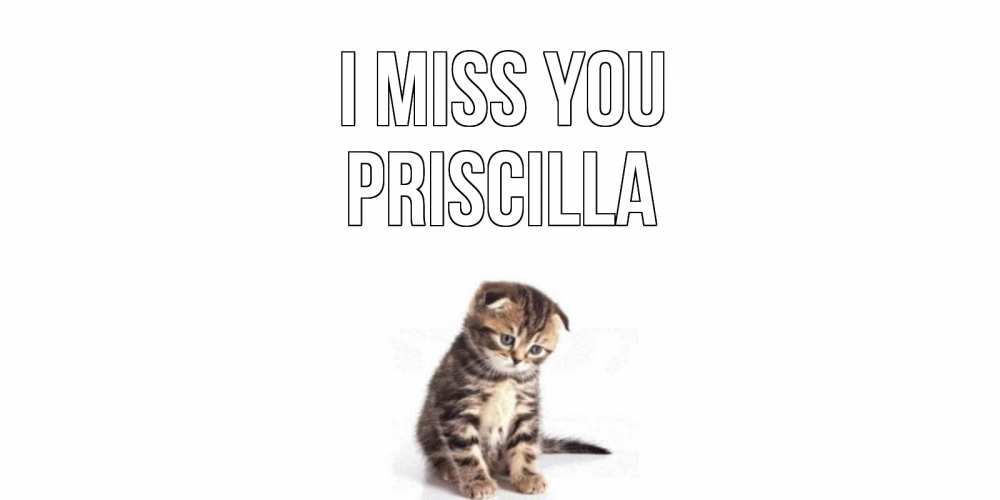 Greetings card с именем, Priscilla I miss you кот Greetings with text for free download 