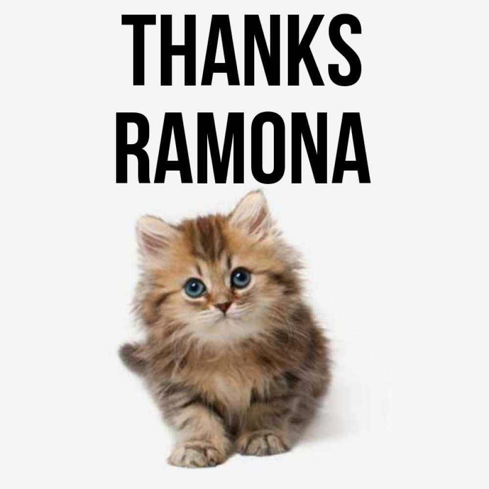Greetings card с именем, Ramona Thanks пушистый котик Greetings with text for free download 