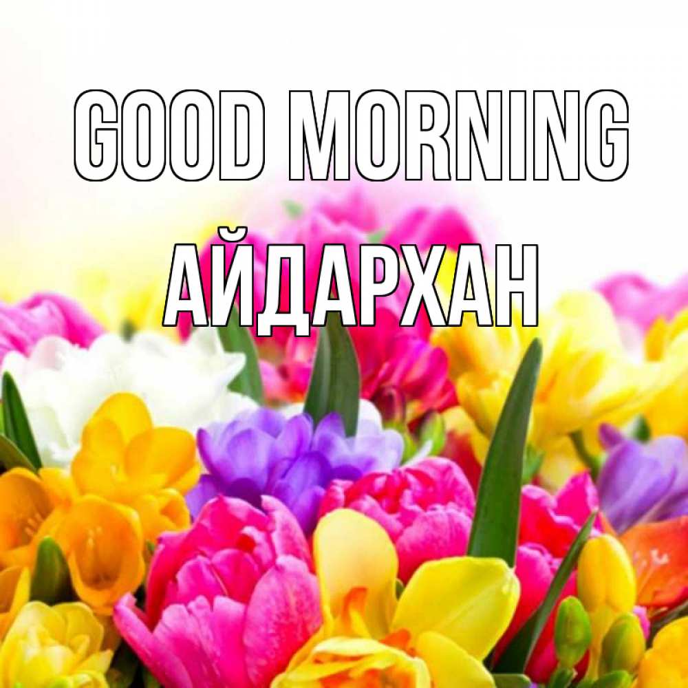 Greetings card с именем, Айдархан Good morning создать открытку со свое подписью Greetings with text for free download 