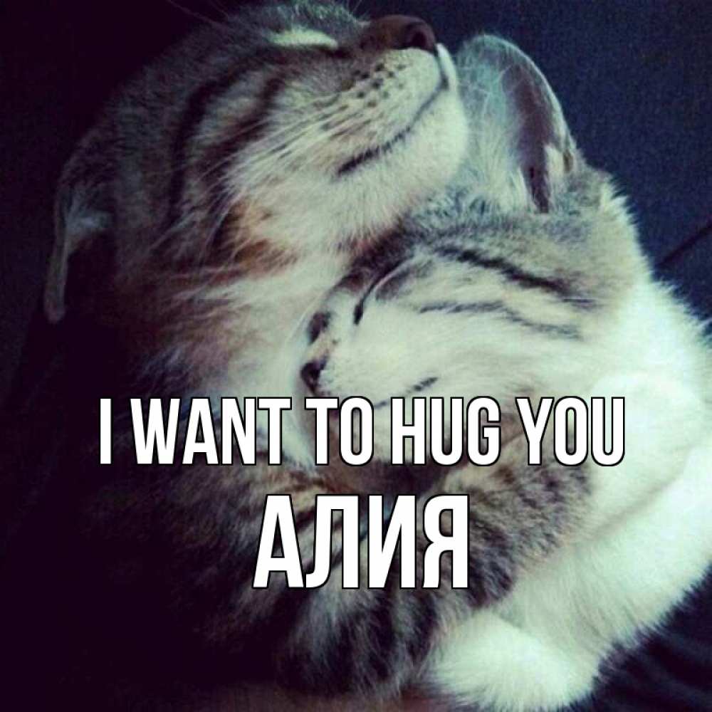 Greetings card с именем, Алия I want to hug you полосатики Greetings with text for free download 