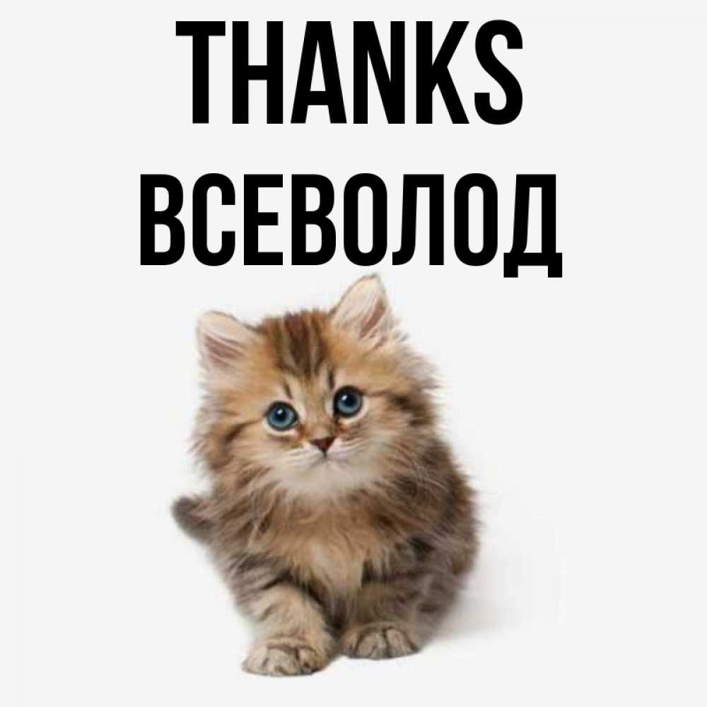 Greetings card с именем, Всеволод Thanks пушистый котик Greetings with text for free download 