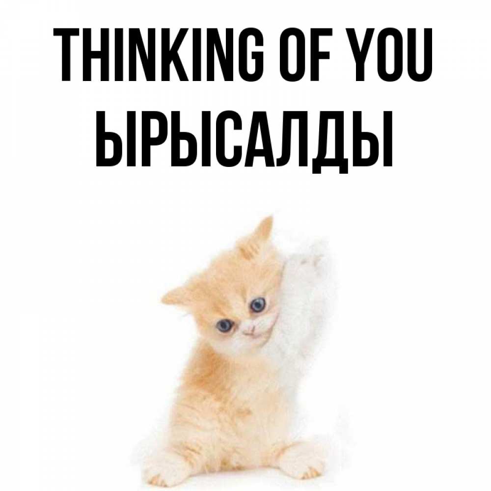 Greetings card с именем, ЫРЫСАЛДЫ Thinking of you зверушки и милота Greetings with text for free download 
