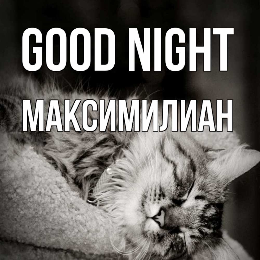 Greetings card с именем, Максимилиан Good night котярик пушистый Greetings with text for free download 