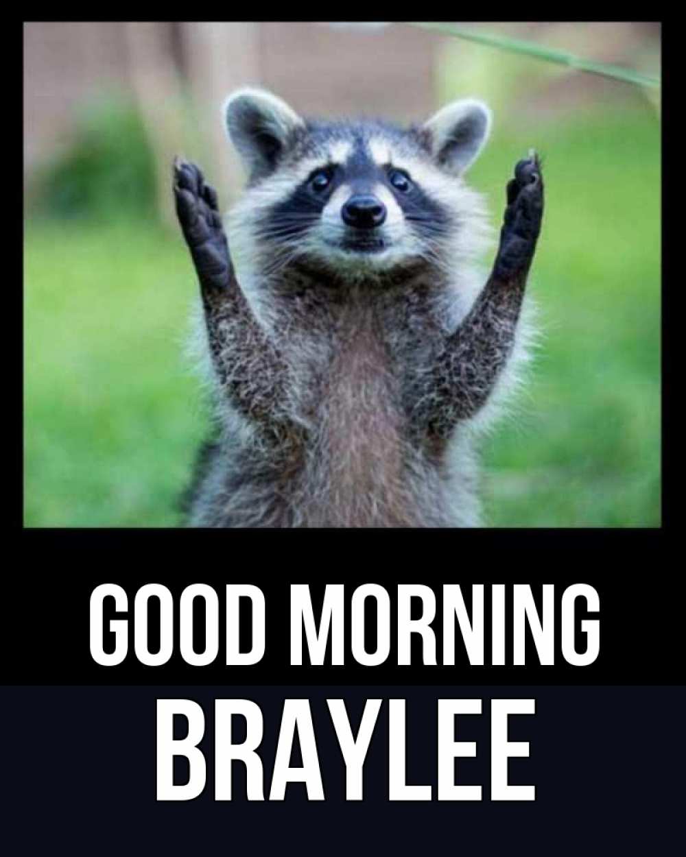 Greetings card с именем, Braylee Good morning хорошее настроение утречком Greetings with text for free download 