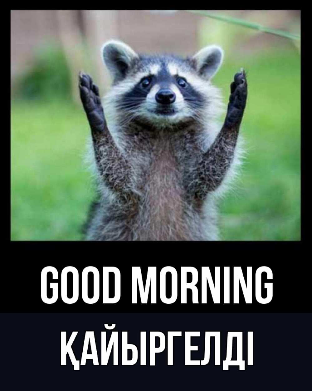 Greetings card с именем, Қайыргелді Good morning хорошее настроение утречком Greetings with text for free download 