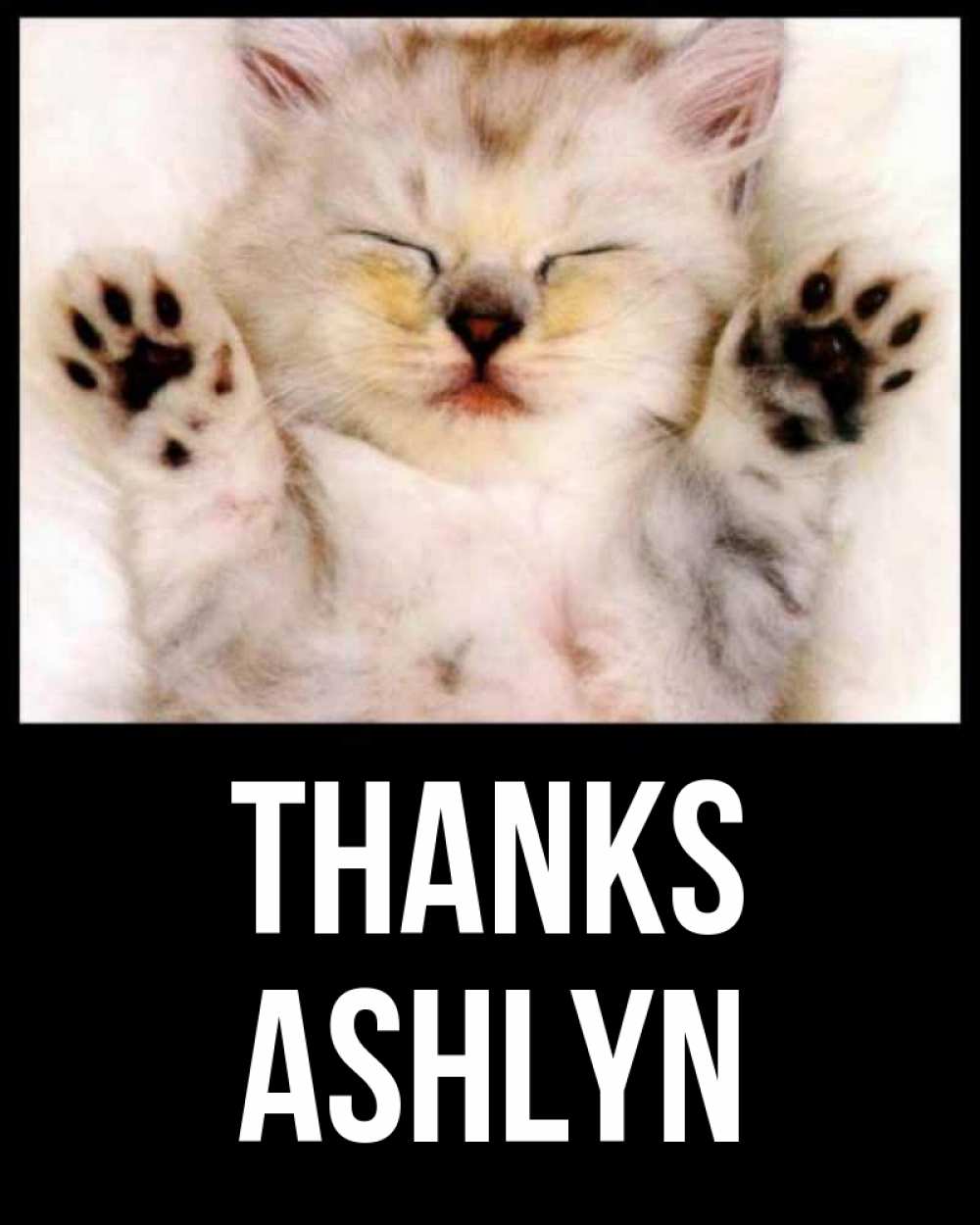 Greetings card с именем, Ashlyn Thanks маленький котенок Greetings with text for free download 