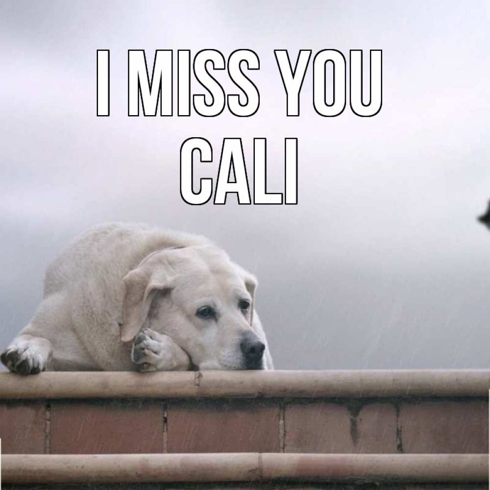 Greetings card с именем, Cali I miss you ждет Greetings with text for free download 
