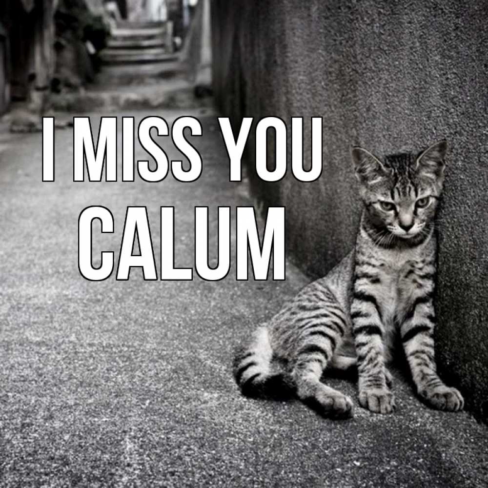 Greetings card с именем, Calum I miss you одиноко котику Greetings with text for free download 
