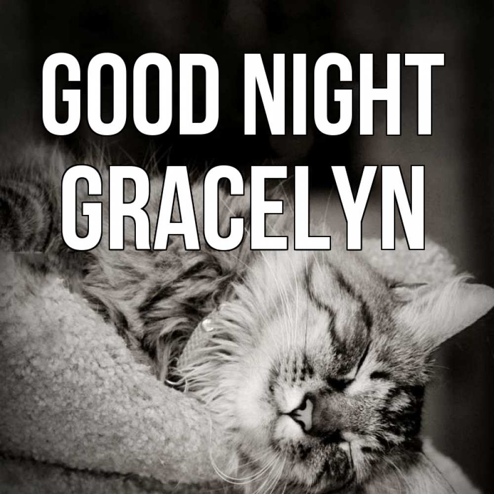 Greetings card с именем, Gracelyn Good night котярик пушистый Greetings with text for free download 