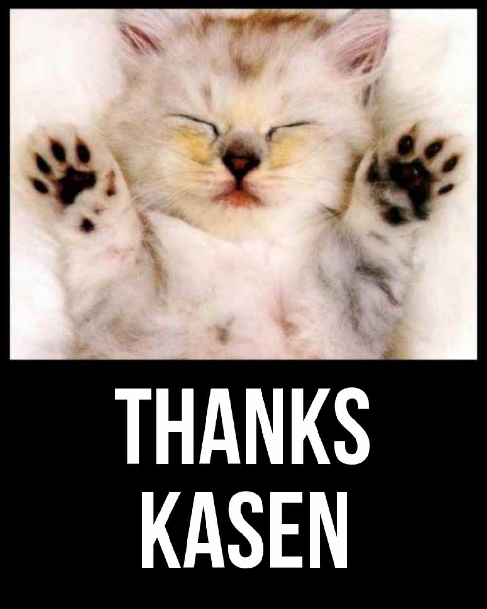 Greetings card с именем, Kasen Thanks маленький котенок Greetings with text for free download 
