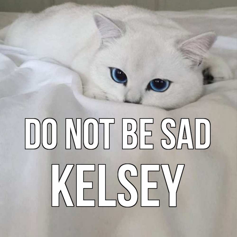Greetings card с именем, Kelsey Do not be sad белый кот с голубыми глазами на белоснежной кровати Greetings with text for free download 