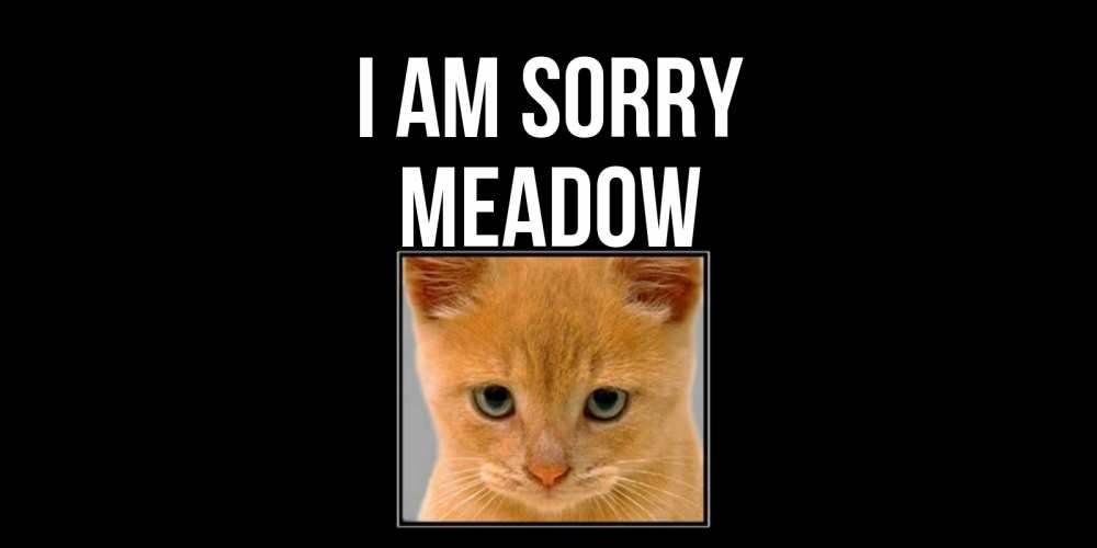 Greetings card с именем, Meadow I am sorry рыжий грустный кот просит прощения Greetings with text for free download 
