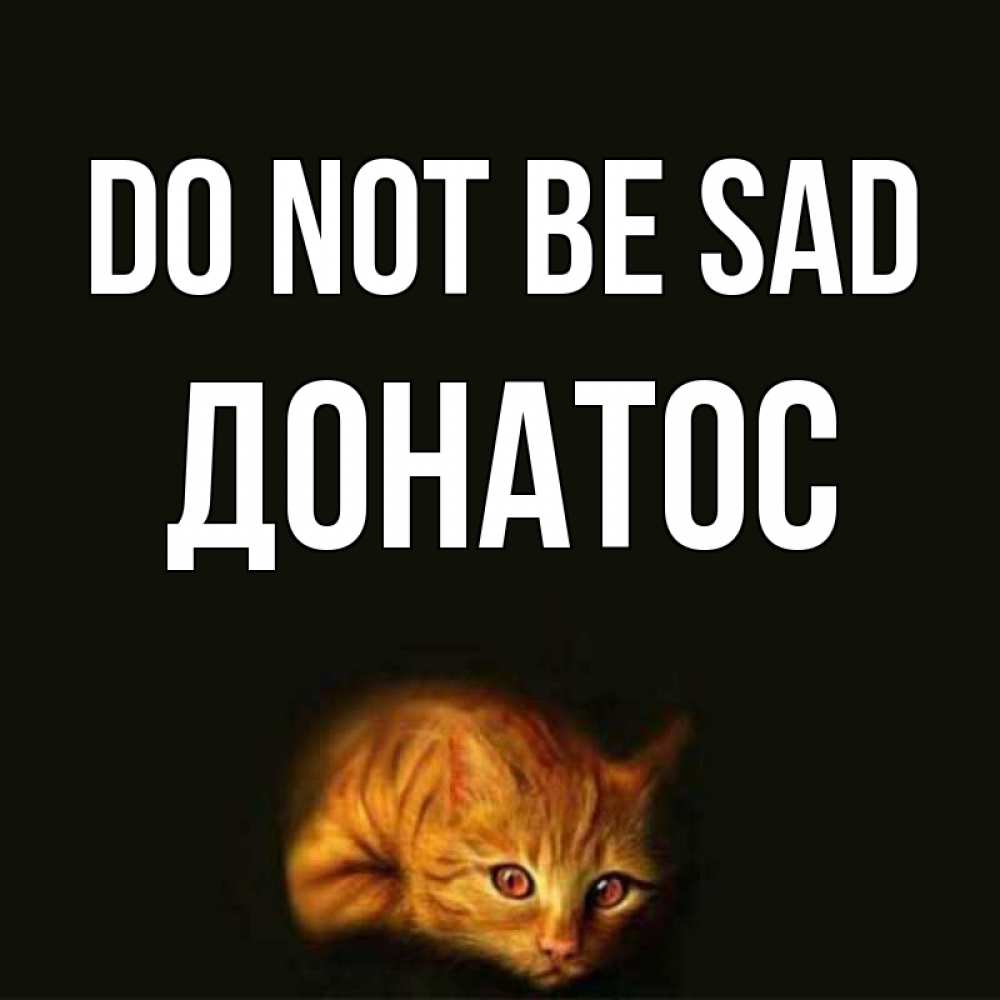 Greetings card с именем, Донатос Do not be sad лежащий кот в темноте Greetings with text for free download 
