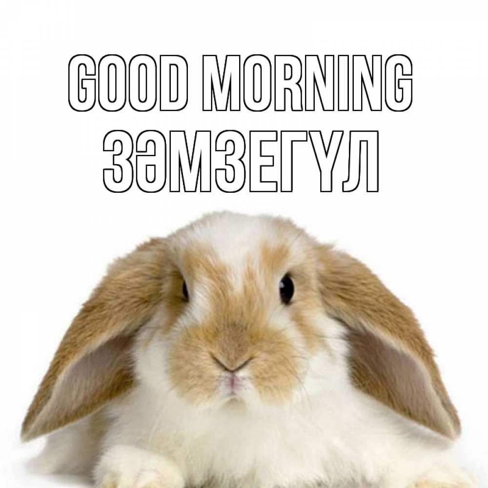 Greetings card с именем, ЗӘМЗЕГҮЛ Good morning прикольные открытки на каждый день Greetings with text for free download 