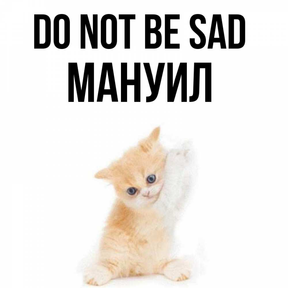 Greetings card с именем, Мануил Do not be sad просящий кот Greetings with text for free download 