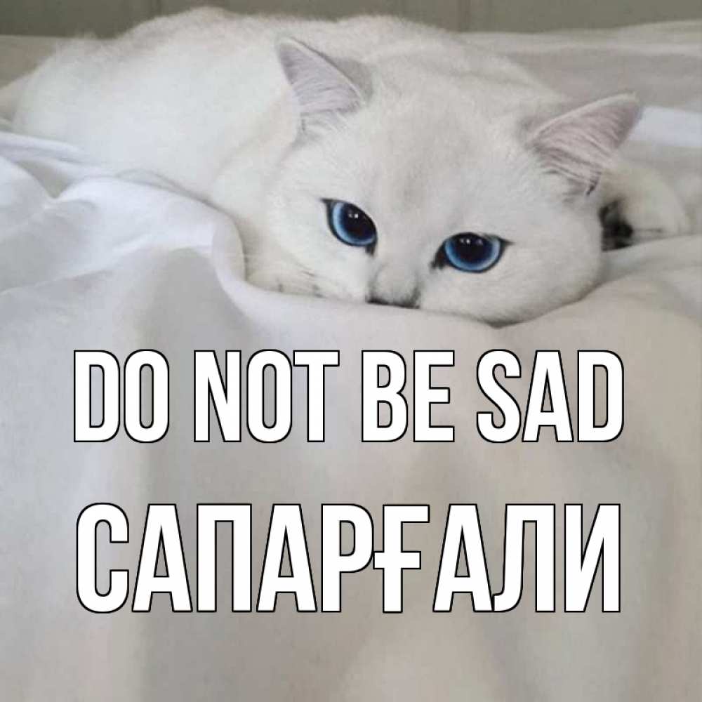 Greetings card с именем, САПАРҒАЛИ Do not be sad белый кот с голубыми глазами на белоснежной кровати Greetings with text for free download 