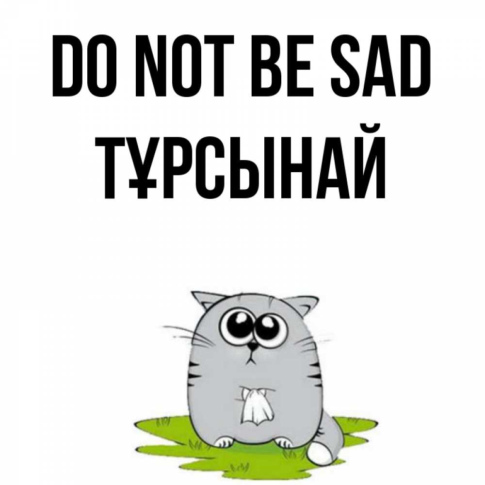Greetings card с именем, ТҰРСЫНАЙ Do not be sad грустный котяра Greetings with text for free download 