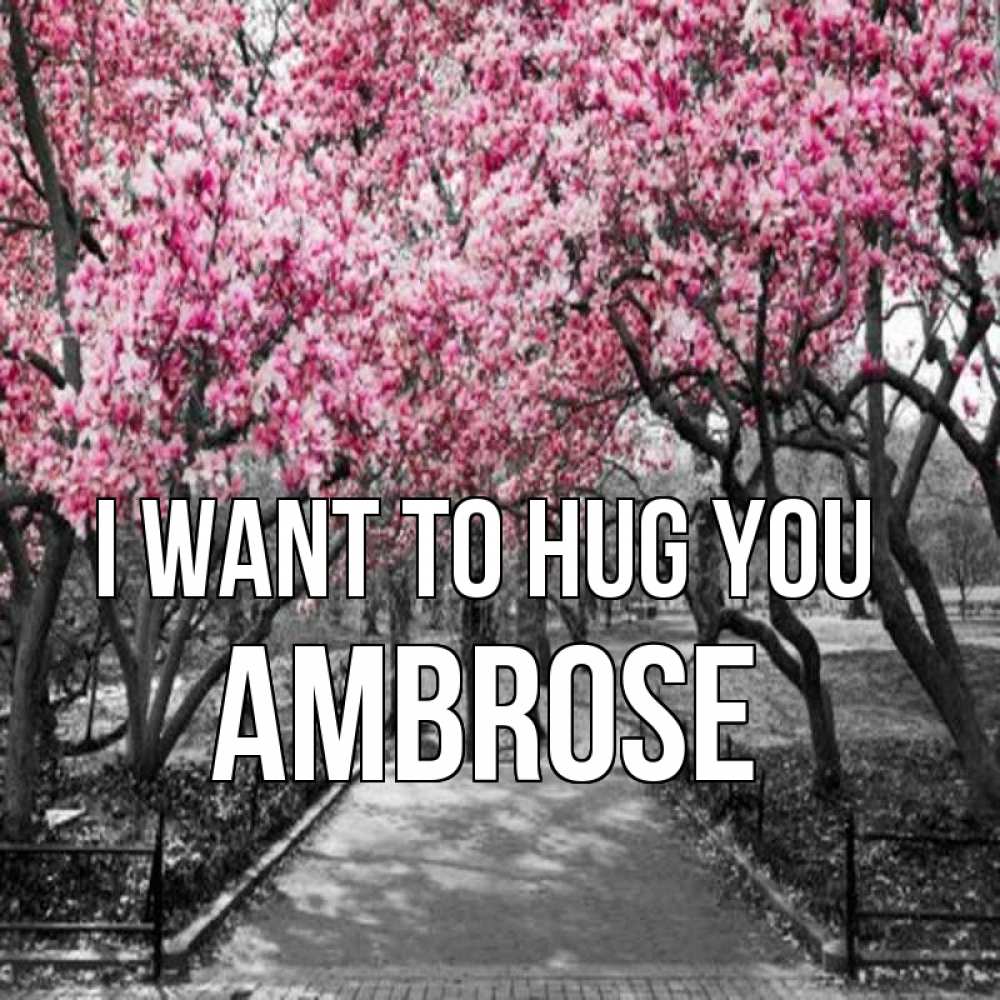 Greetings card с именем, Ambrose I want to hug you обработанное фото Greetings with text for free download 
