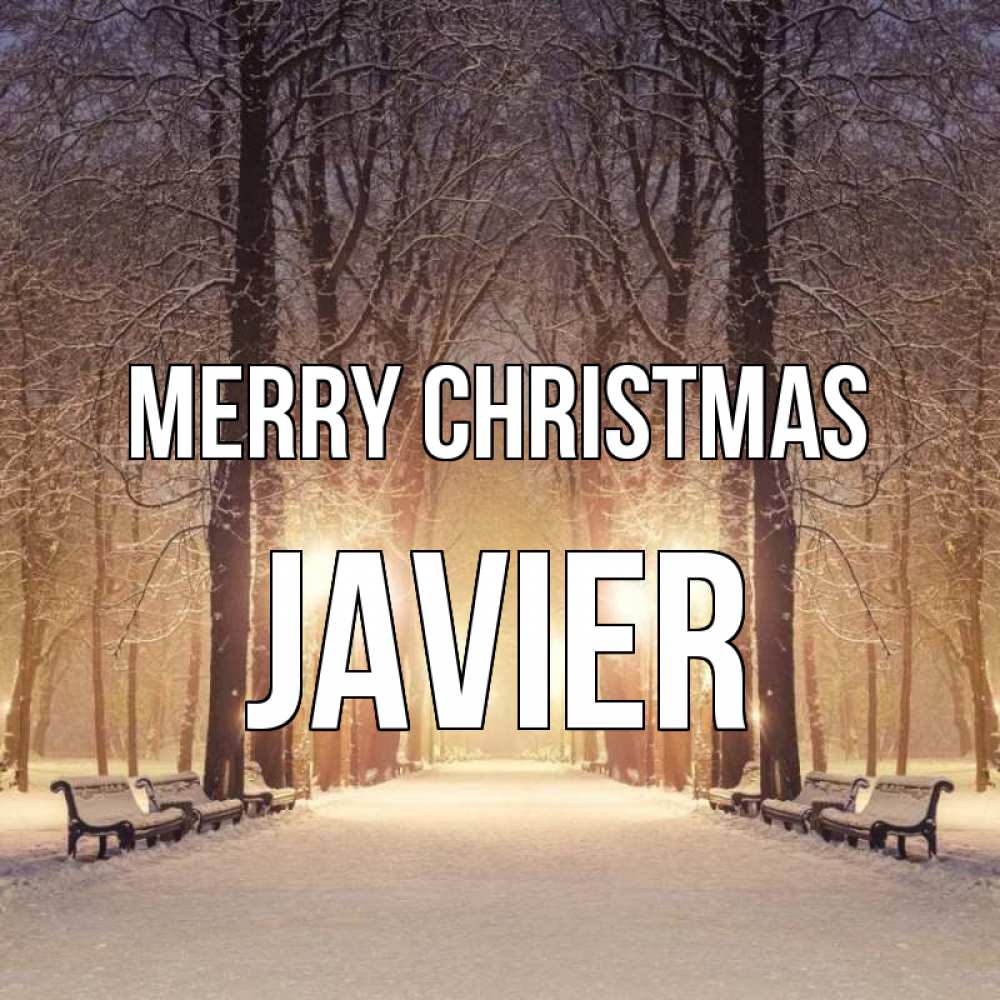 Greetings card с именем, Javier Merry Christmas зима, парк, фонарь, лес Greetings with text for free download 
