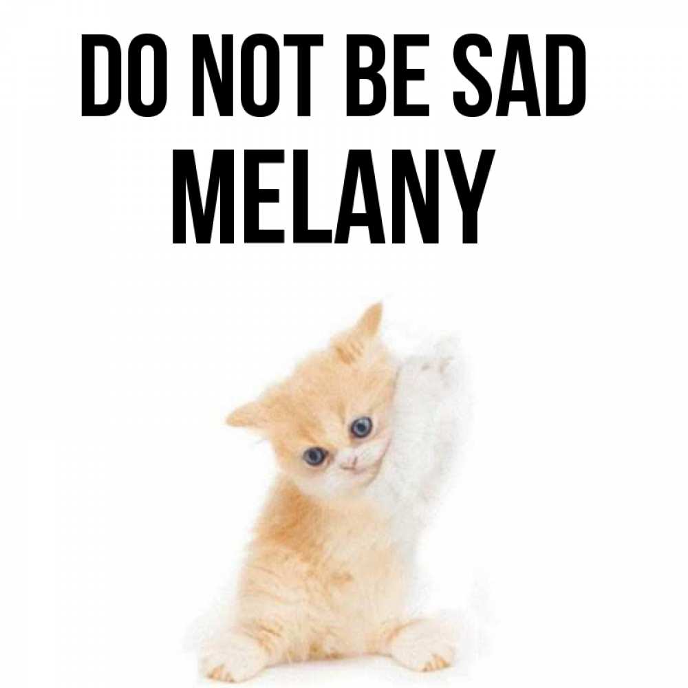Greetings card с именем, Melany Do not be sad просящий кот Greetings with text for free download 
