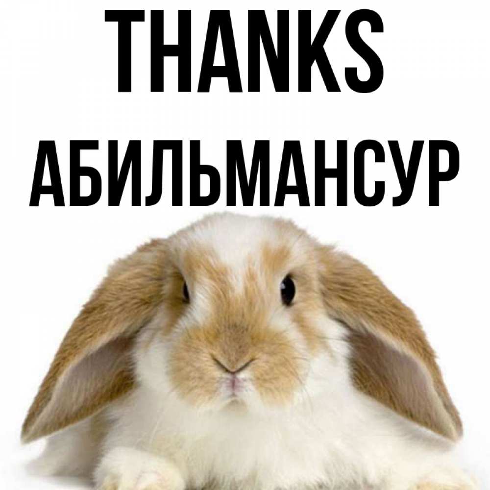 Greetings card с именем, Абильмансур Thanks коричнево белый заяц Greetings with text for free download 