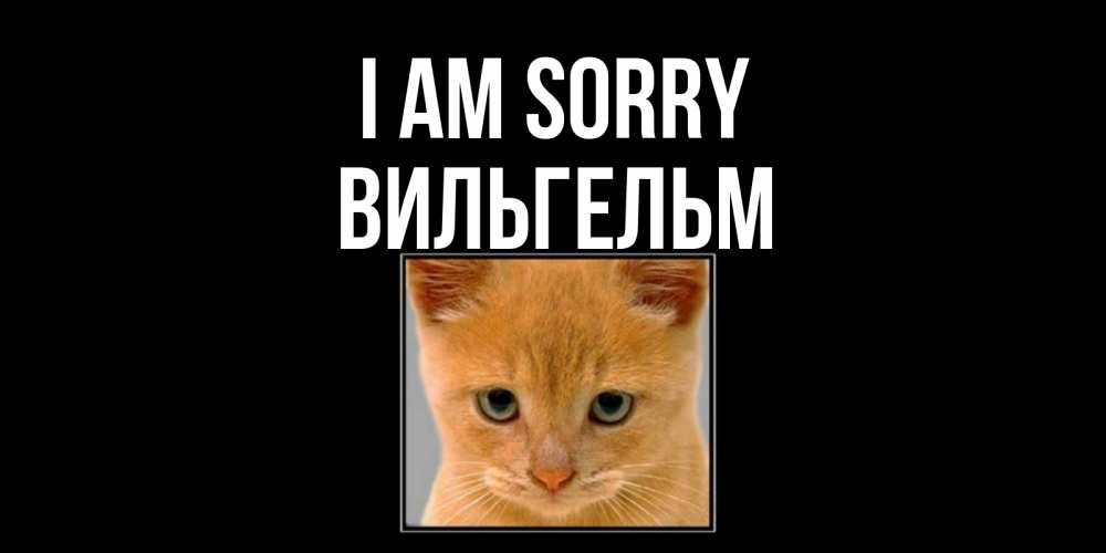 Greetings card с именем, Вильгельм I am sorry рыжий грустный кот просит прощения Greetings with text for free download 