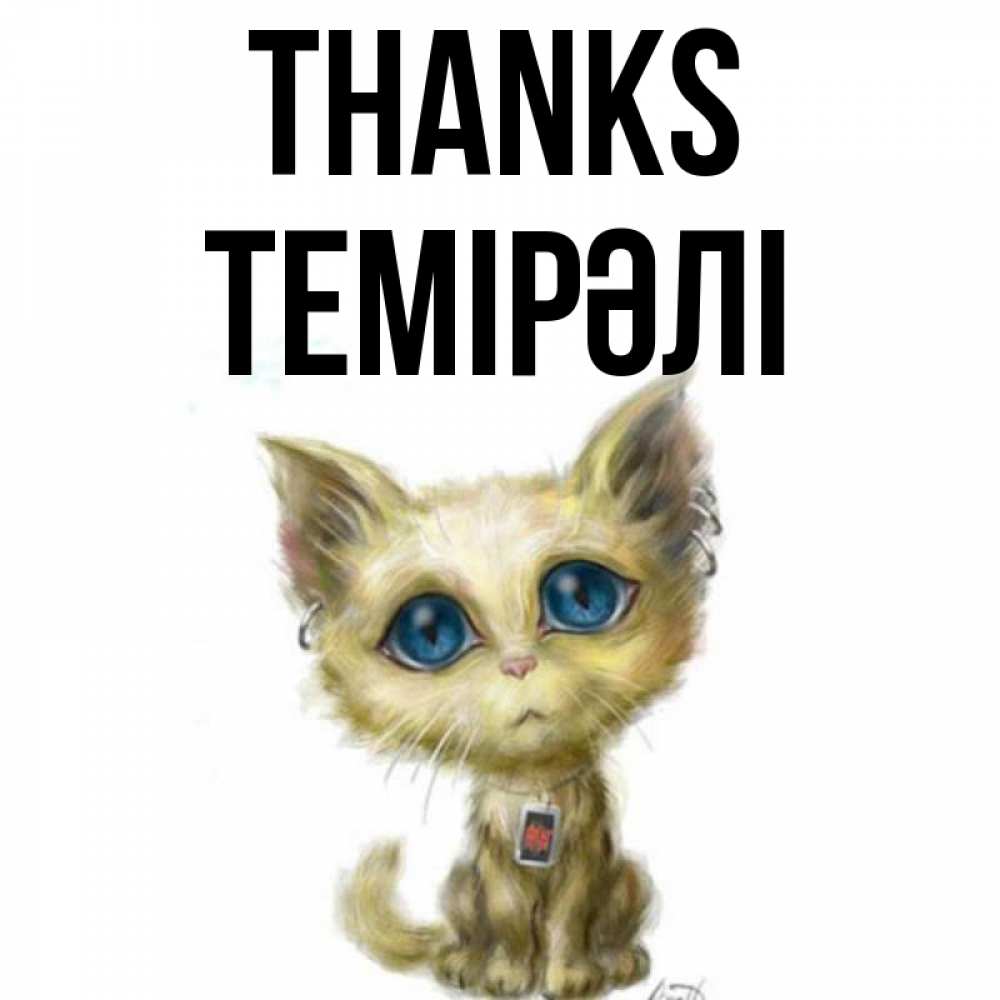Greetings card с именем, ТЕМІРӘЛІ Thanks рисованный кот благодарит вас Greetings with text for free download 