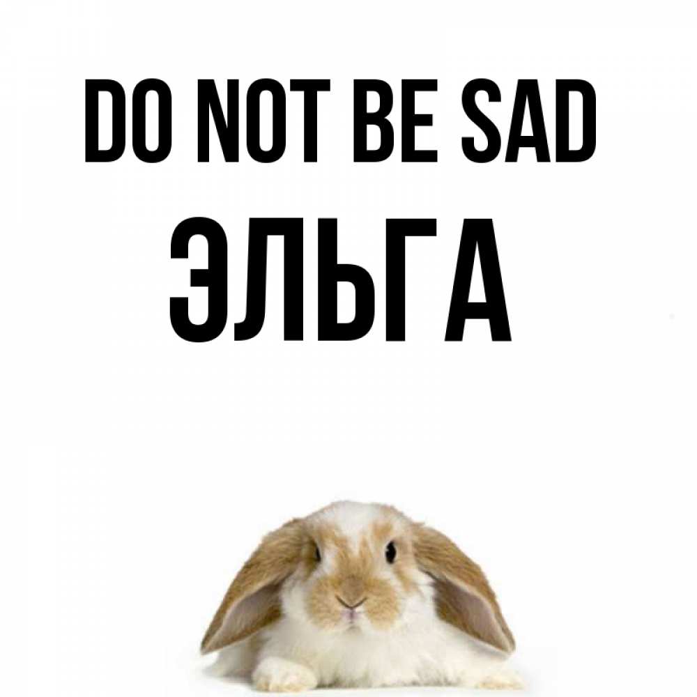 Greetings card с именем, Эльга Do not be sad коричнево белый заяц с большими ушками Greetings with text for free download 