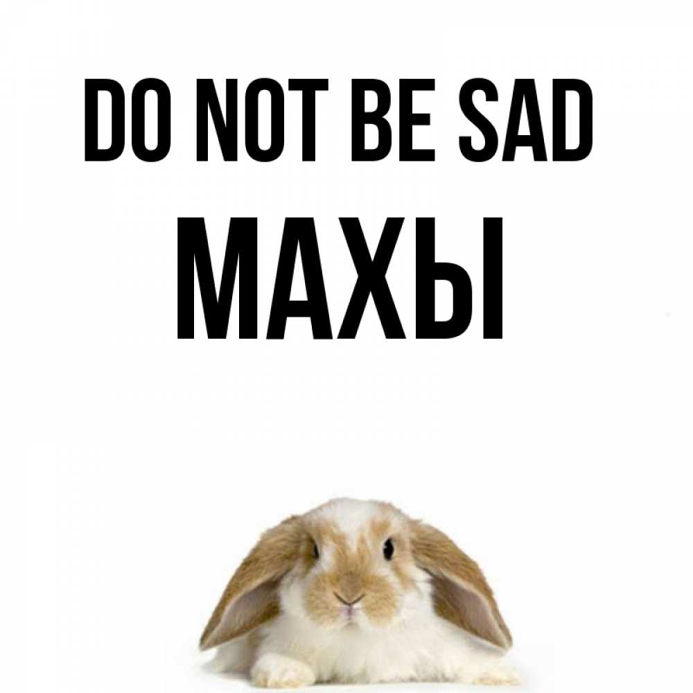 Greetings card с именем, МАХЫ Do not be sad коричнево белый заяц с большими ушками Greetings with text for free download 