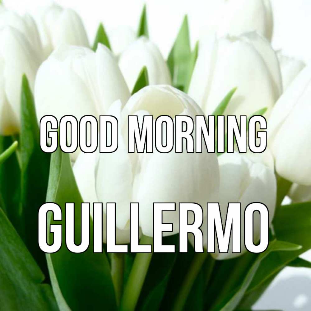 Greetings card с именем, Guillermo Good morning открытки на каждый день по именам Greetings with text for free download 