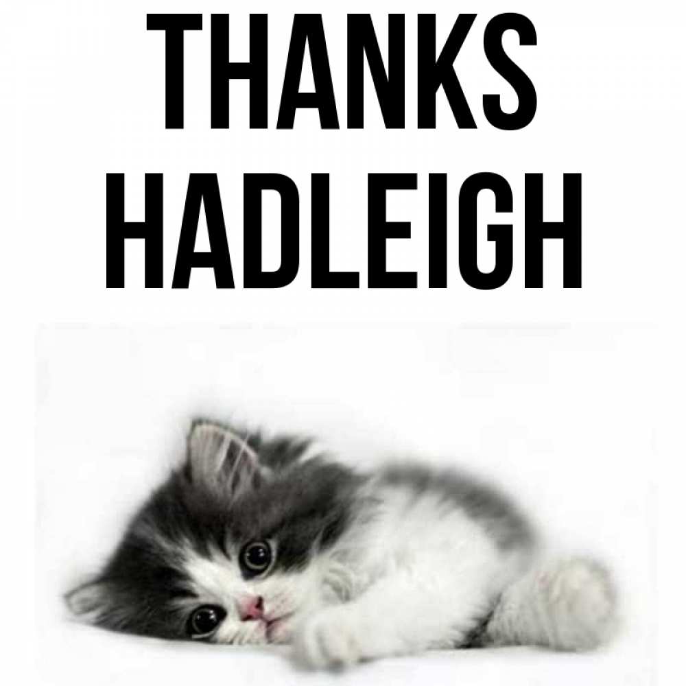 Greetings card с именем, Hadleigh Thanks черный и белый кот Greetings with text for free download 