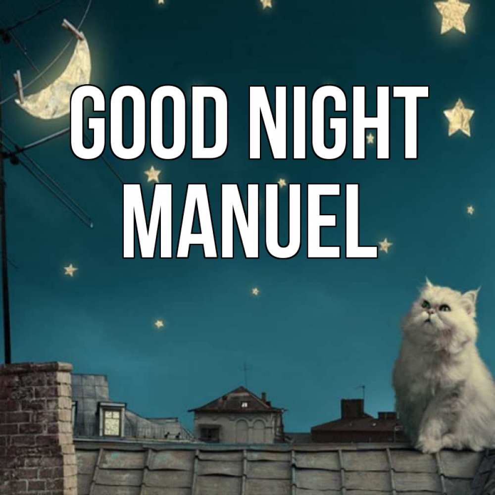 Greetings card с именем, Manuel Good night белый кот сидит на крыше Greetings with text for free download 