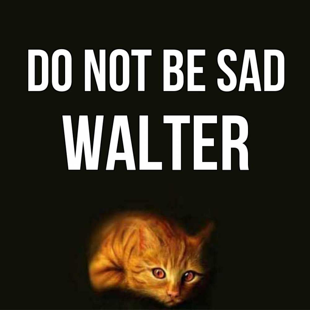 Greetings card с именем, Walter Do not be sad лежащий кот в темноте Greetings with text for free download 