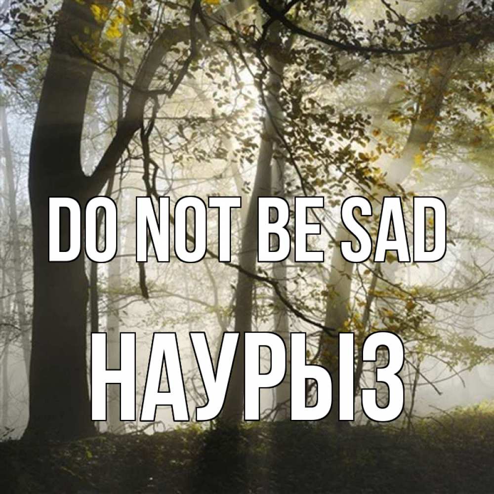 Greetings card с именем, НАУРЫЗ Do not be sad лес и свет Greetings with text for free download 