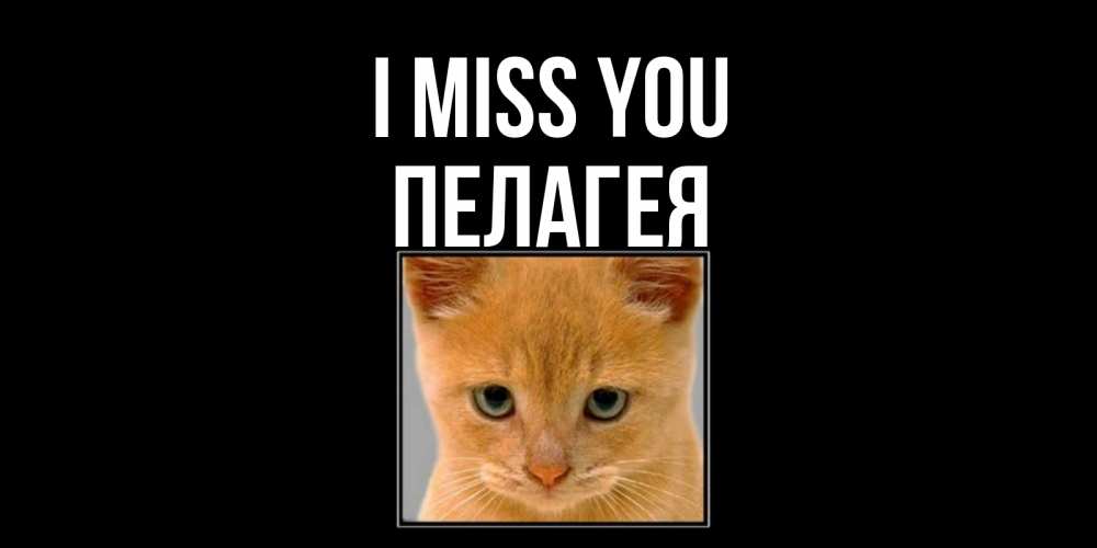 Greetings card с именем, Пелагея I miss you открытки рыжий котенок скучает по тебе Greetings with text for free download 