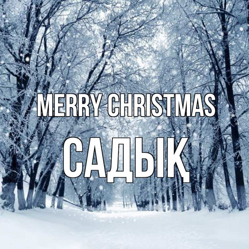 Greetings card с именем, САДЫҚ Merry Christmas снег, лес, парк Greetings with text for free download 