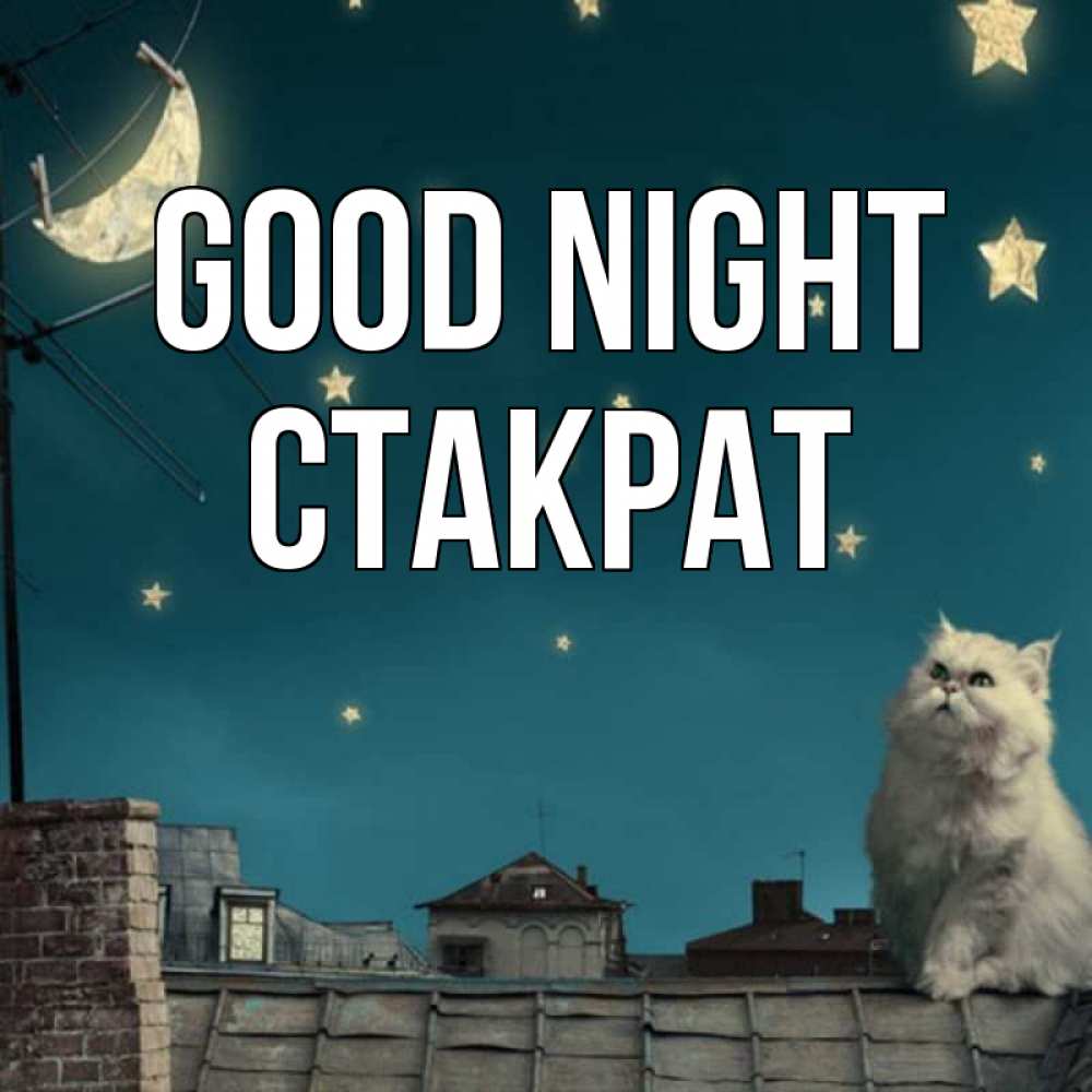 Greetings card с именем, Стакрат Good night белый кот сидит на крыше Greetings with text for free download 