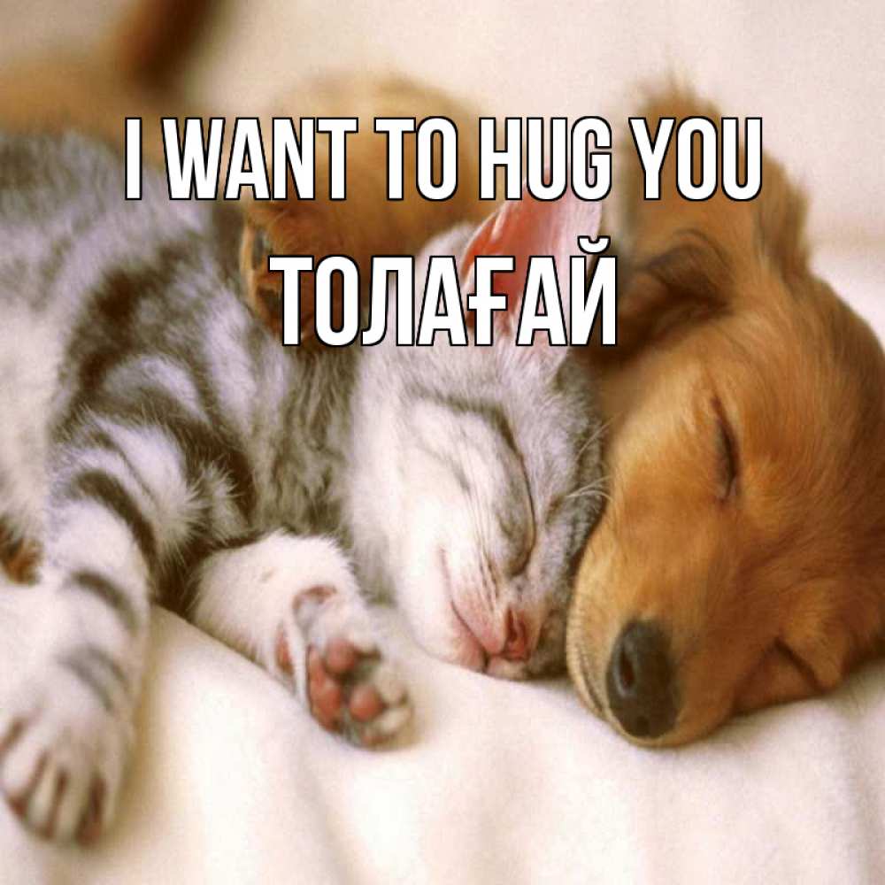 Greetings card с именем, ТОЛАҒАЙ I want to hug you пес и котенок Greetings with text for free download 