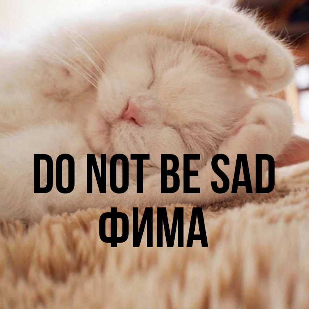 Greetings card с именем, Фима Do not be sad Котенок спит Greetings with text for free download 