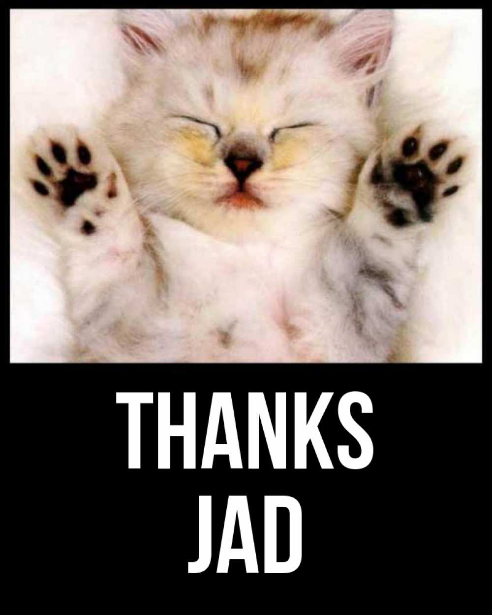 Greetings card с именем, Jad Thanks маленький котенок Greetings with text for free download 