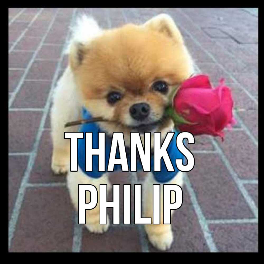 Greetings card с именем, Philip Thanks спасибо и дарю тебе цветок Greetings with text for free download 