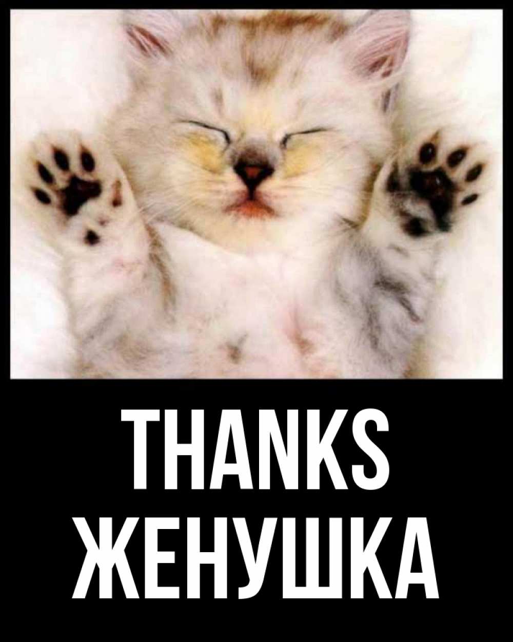 Greetings card с именем, Женушка Thanks маленький котенок Greetings with text for free download 