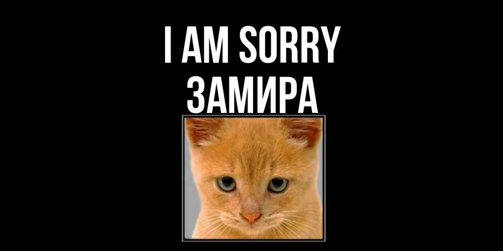 Greetings card с именем, ЗАМИРА I am sorry рыжий грустный кот просит прощения Greetings with text for free download 