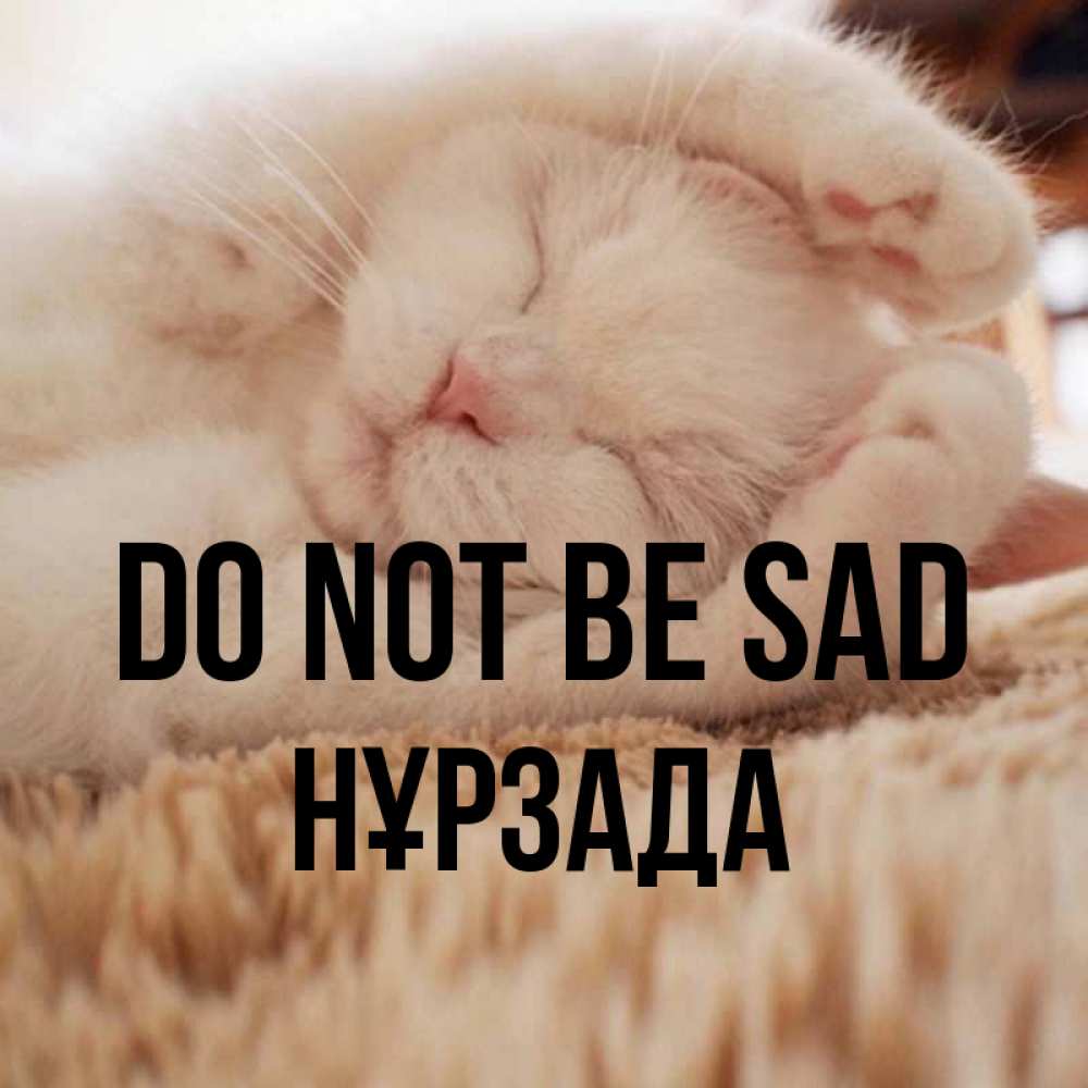 Greetings card с именем, НҰРЗАДА Do not be sad Котенок спит Greetings with text for free download 