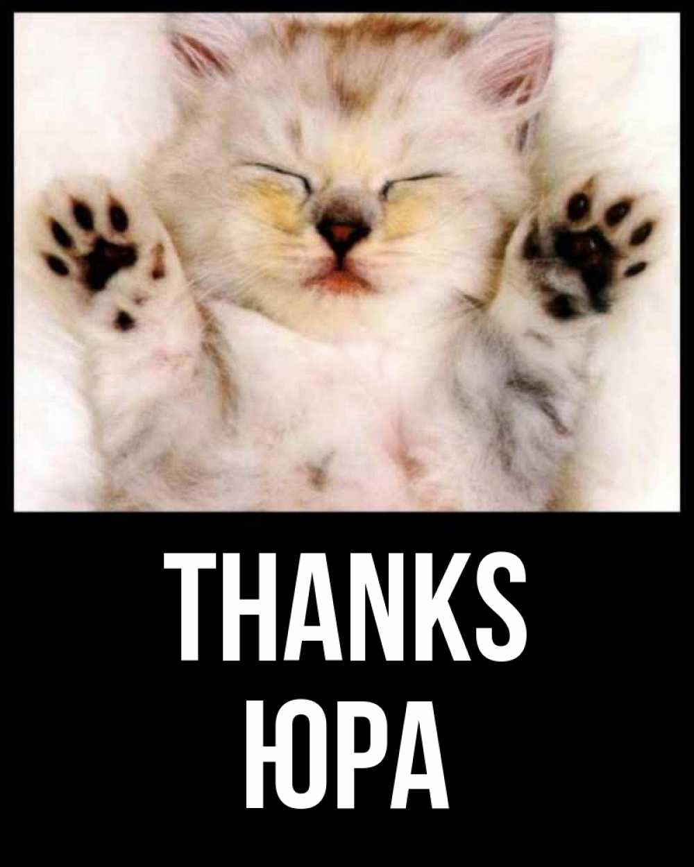 Greetings card с именем, Юра Thanks маленький котенок Greetings with text for free download 