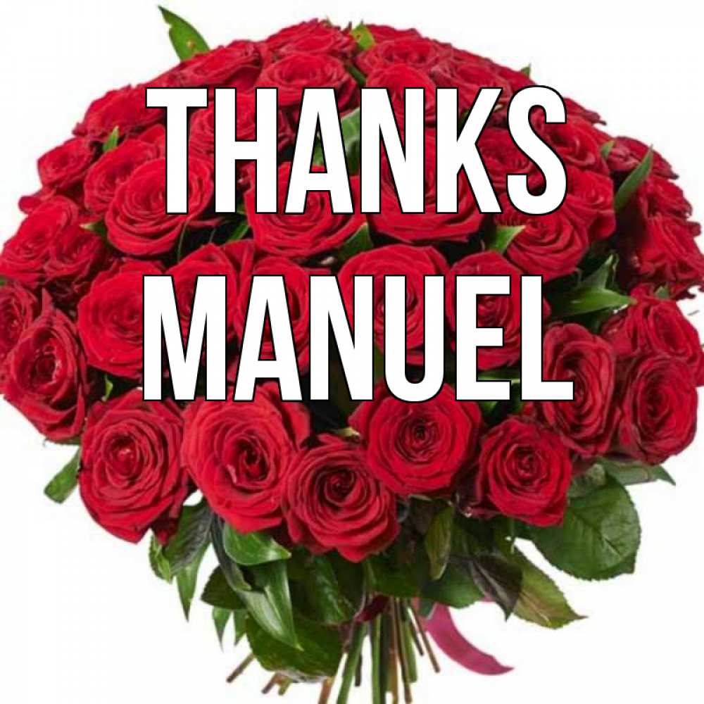 Greetings card с именем, Manuel Thanks букет красных роз Greetings with text for free download 